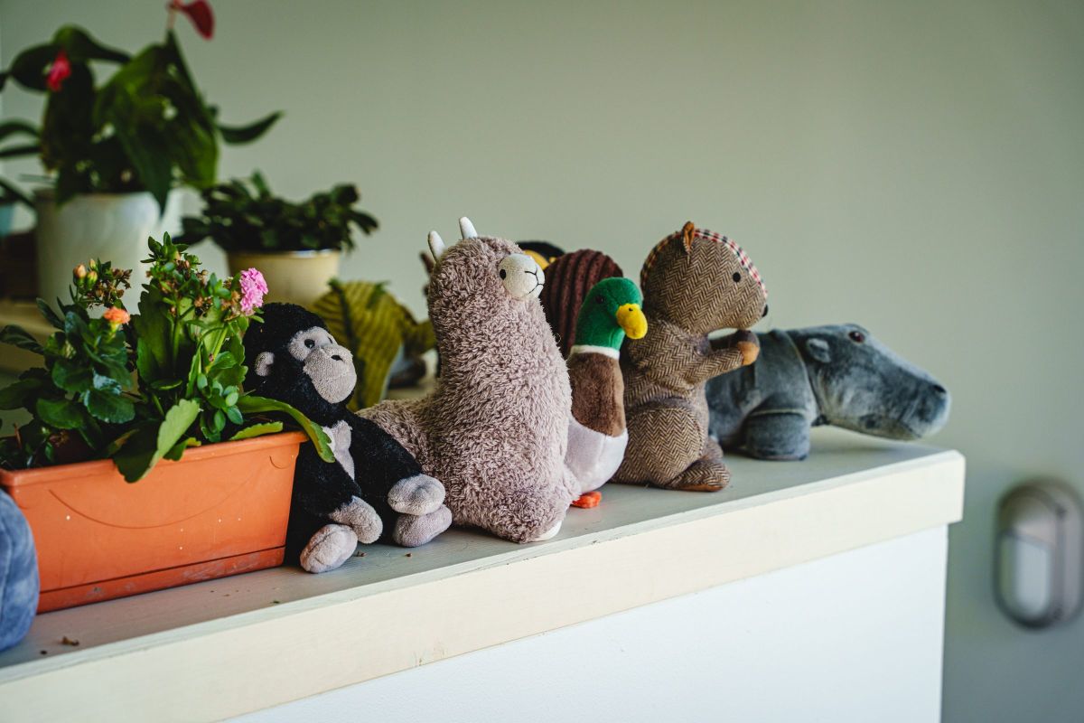 Peluches alignées sur une étagère dans une salle de classe de maternelle
